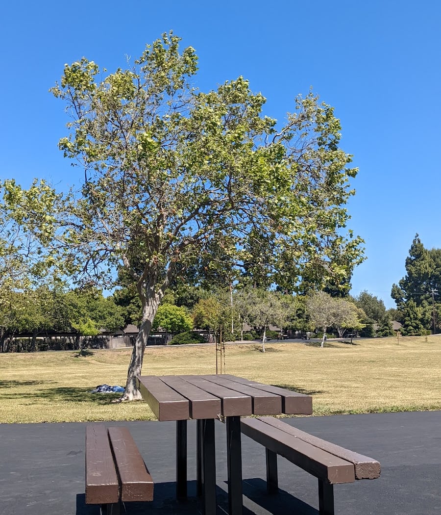Civic Center Park 3