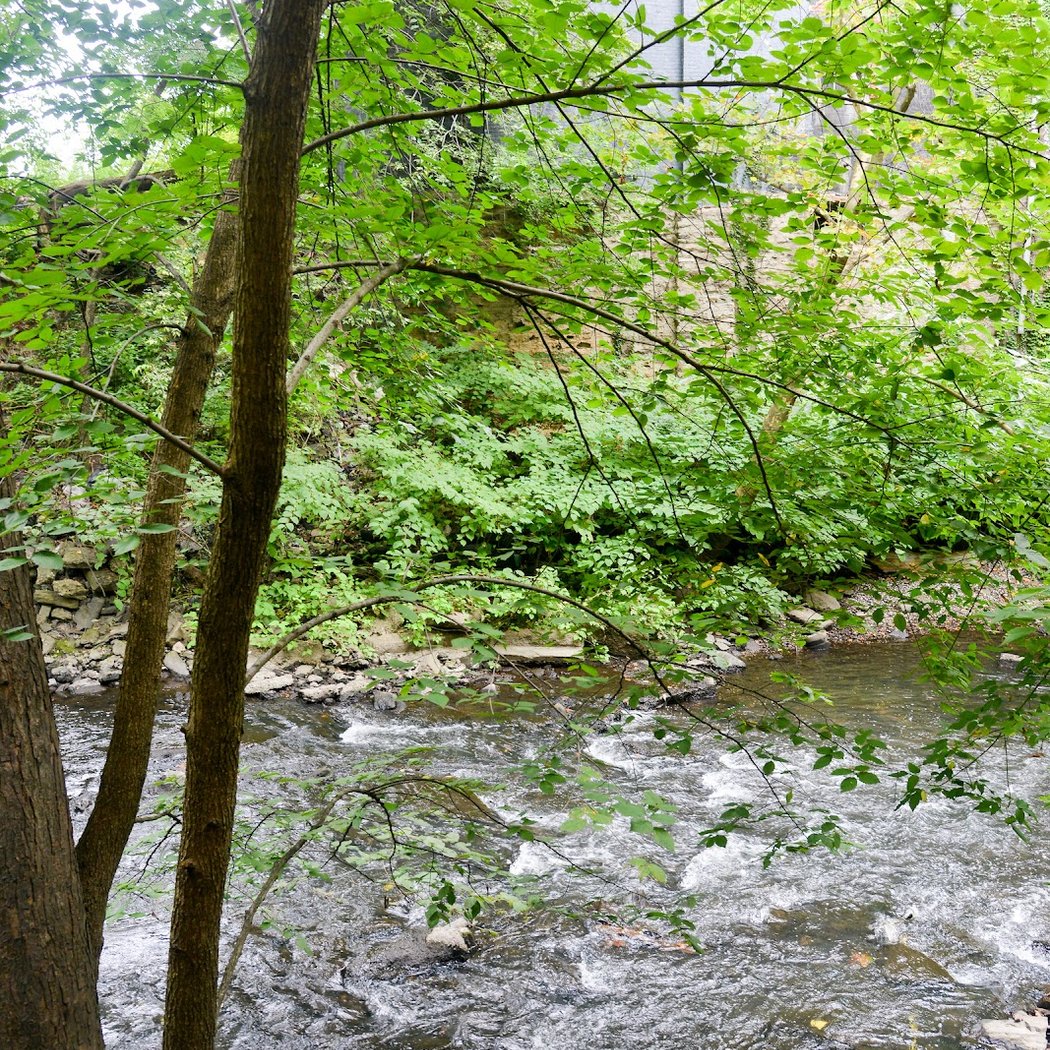 West Farms Rapids Park 2