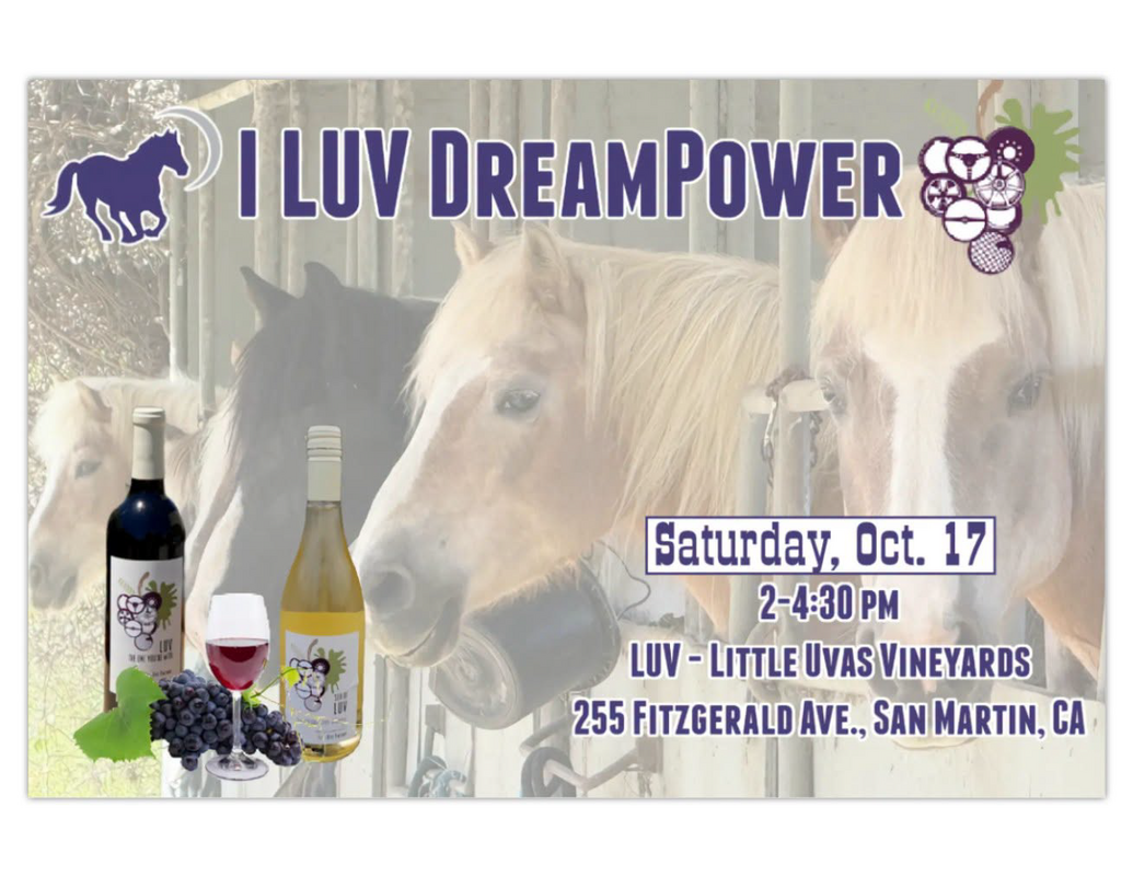 I LUV DreamPower 1