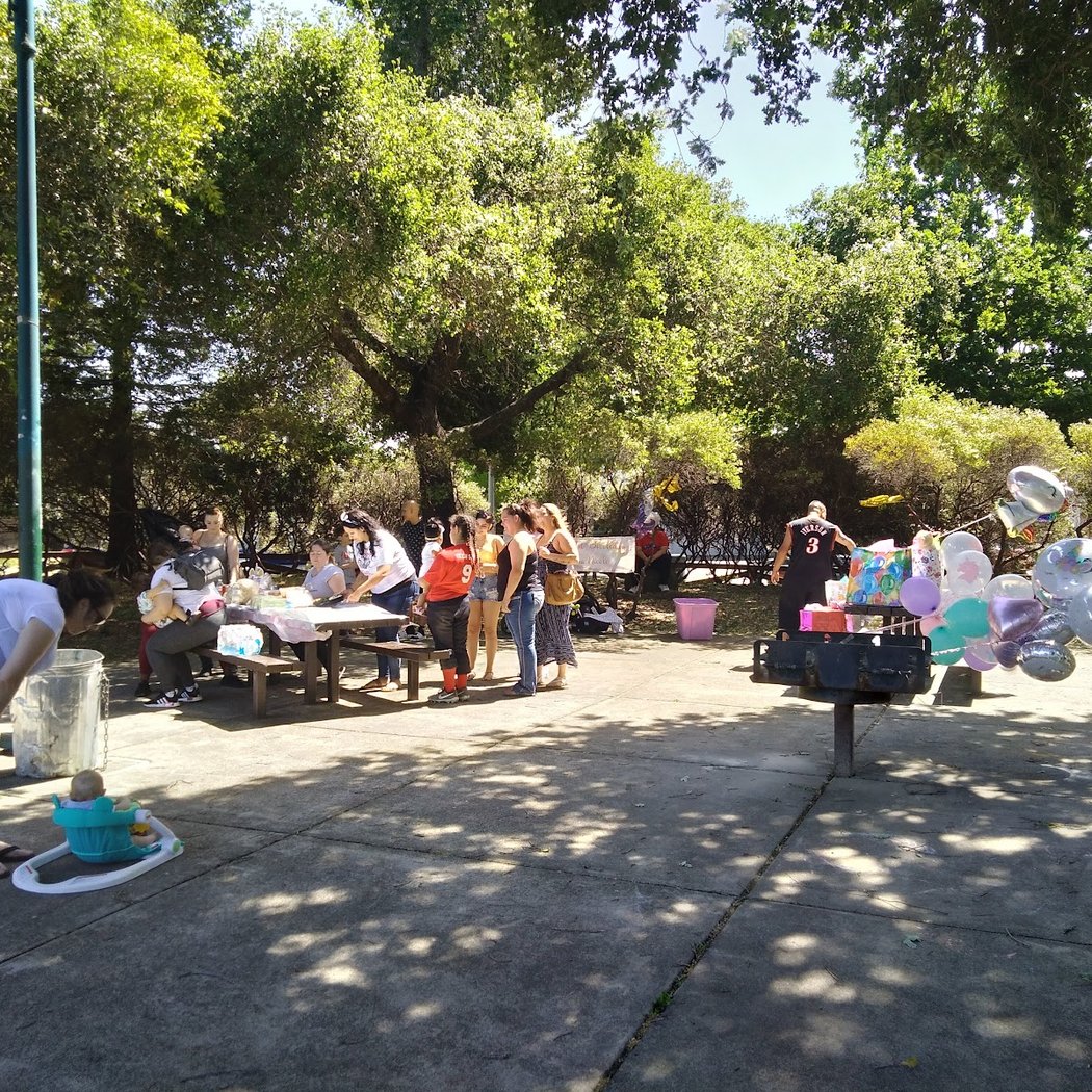 Pioneer Park 2