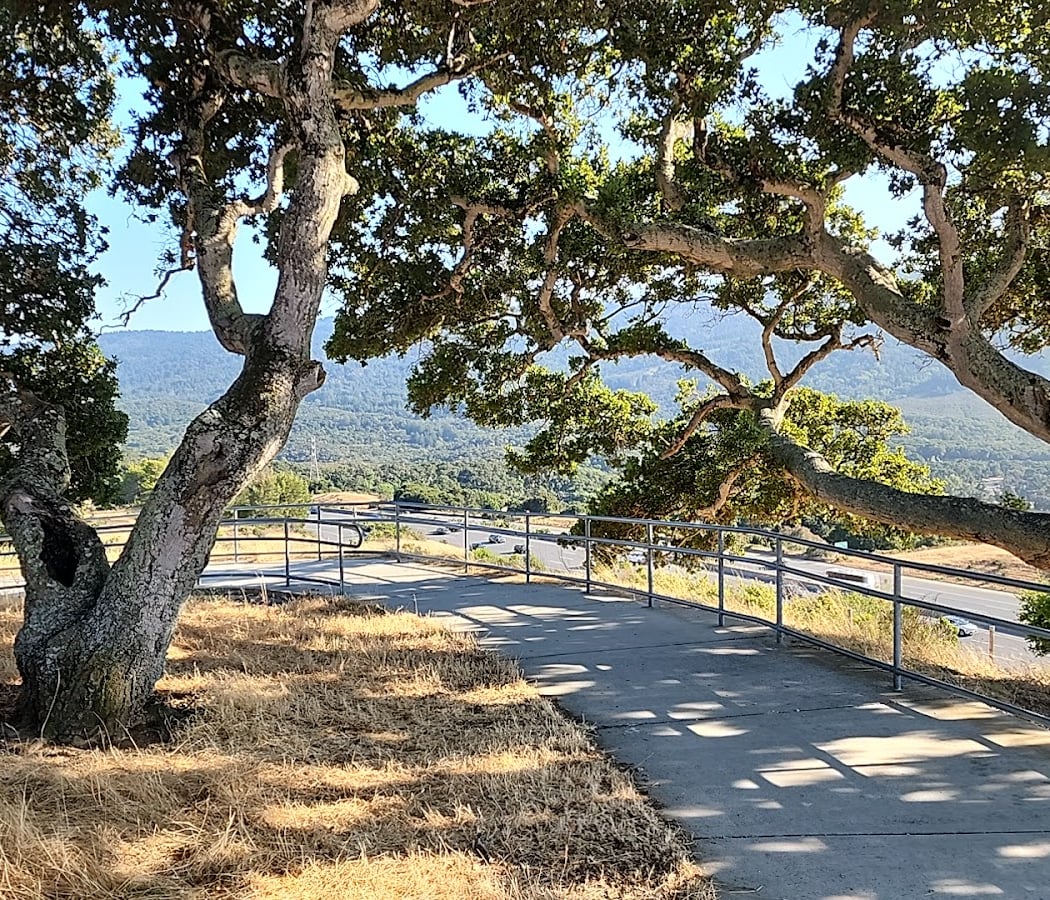 Ralph D. Percival Memorial Vista Point 2