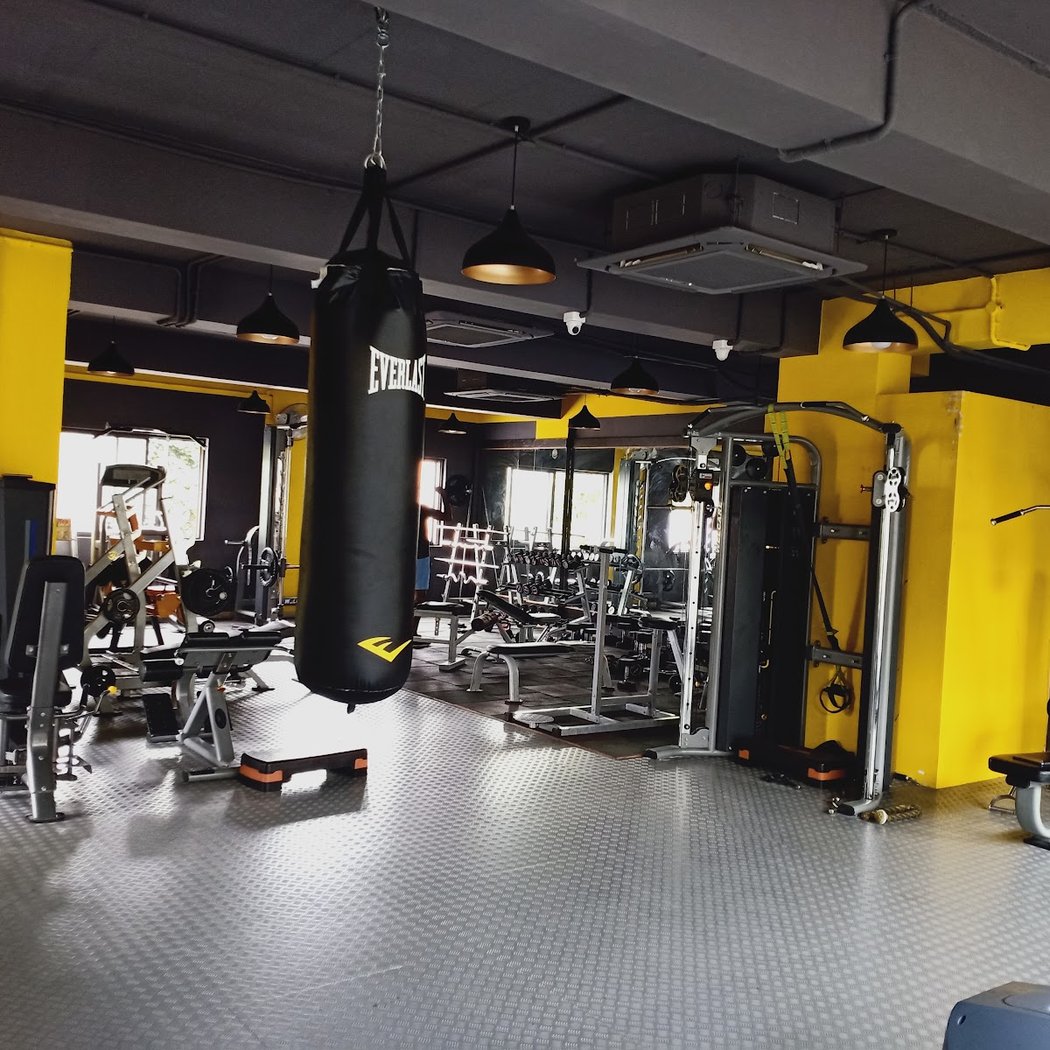 DP DYNAMIC GYM 1