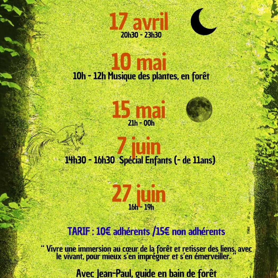 Atelier découverte de la musique des plantes en forêt 1