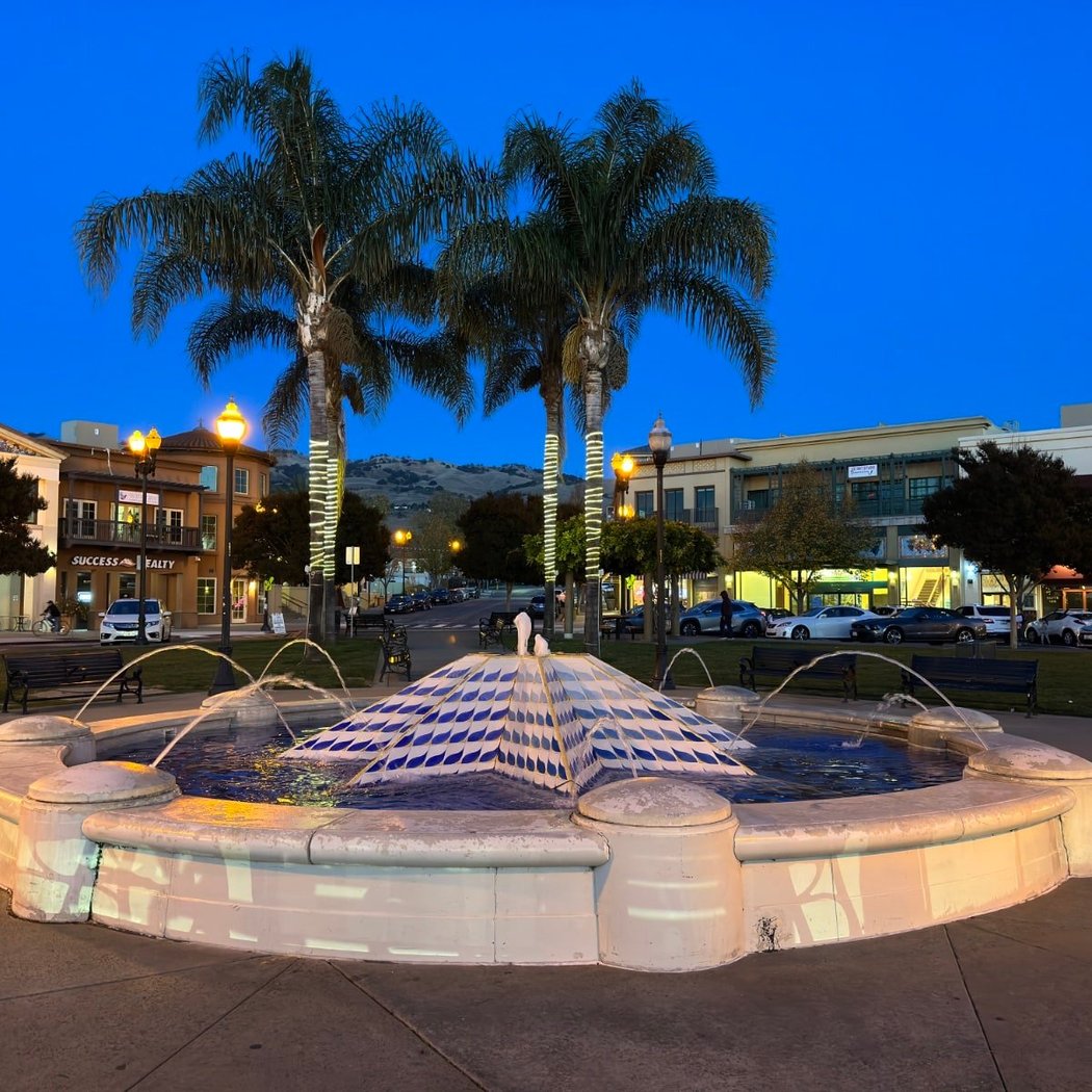 Evergreen Village Square 1