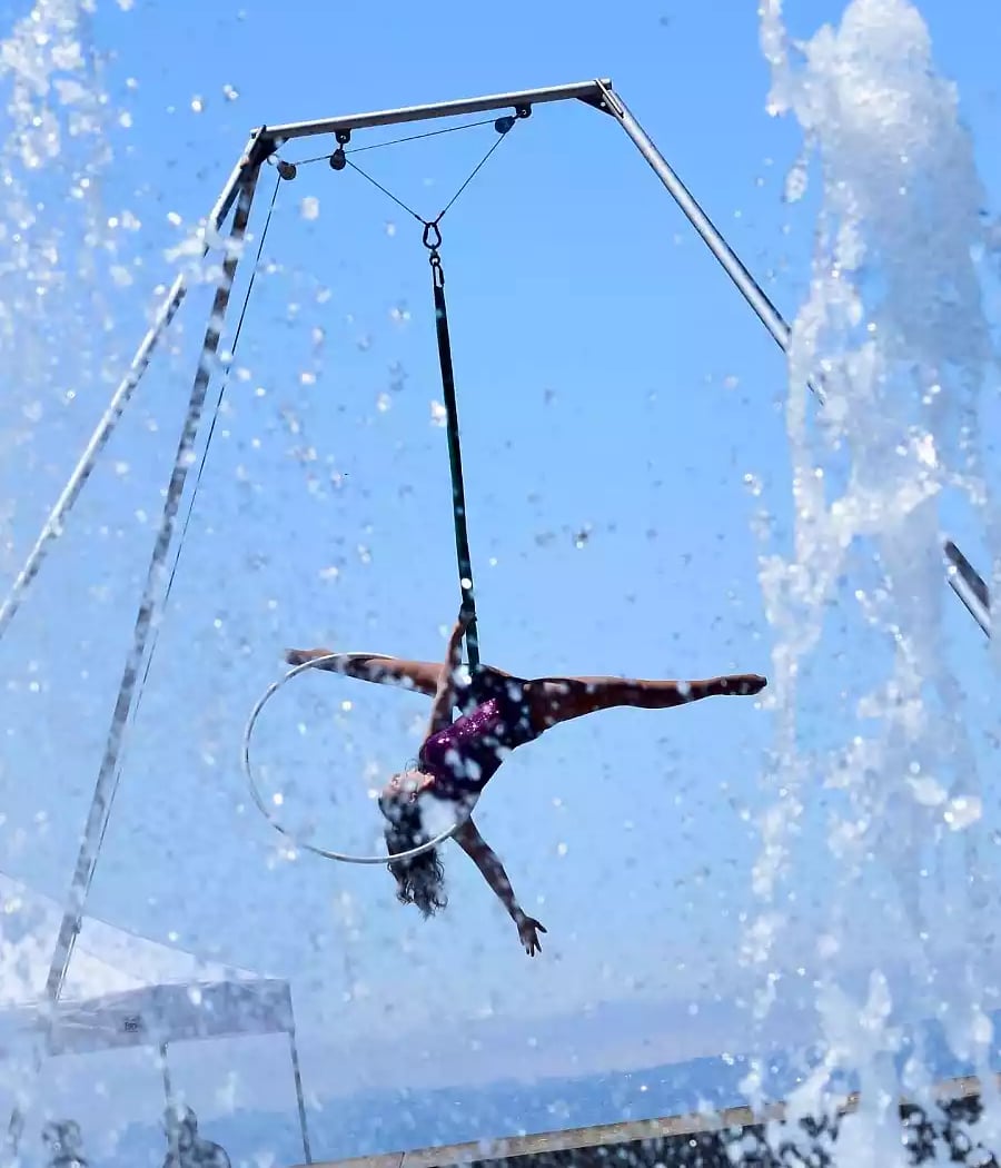 Five Dollar Day: Trapeze Arts