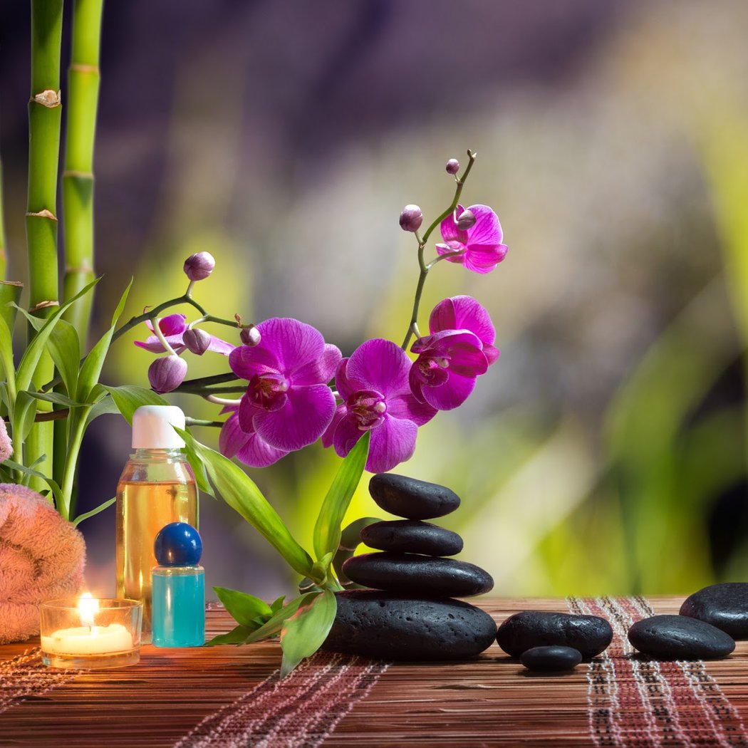 Shibui Gardens Spa & Wellness Center 1