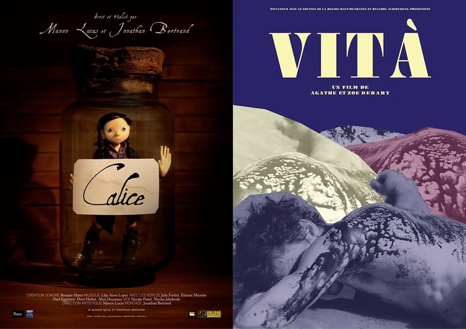 Projections / CALICE – VITA 1