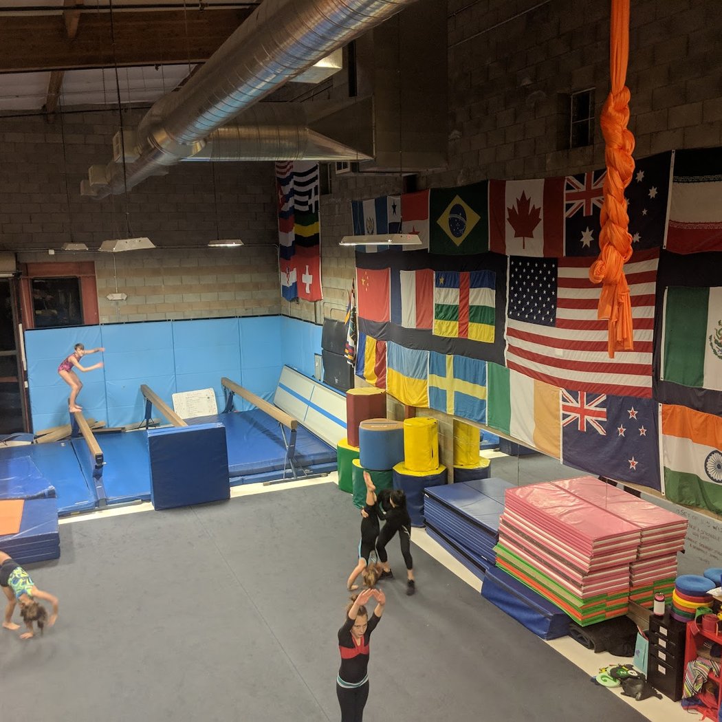 Toddler Open Gym 3