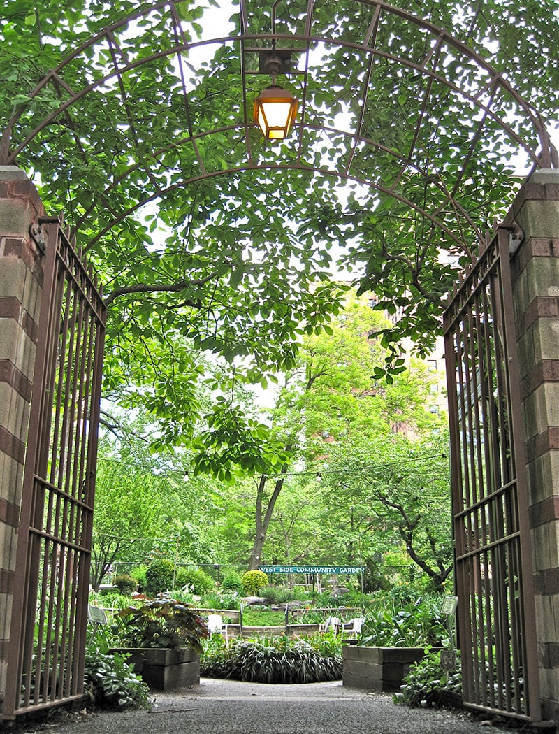 West Side Community Garden 2