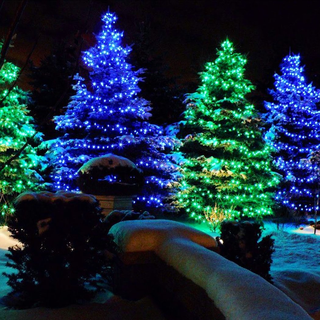 Blinky's Christmas Lights | Professional Christmas Lights Installation 1