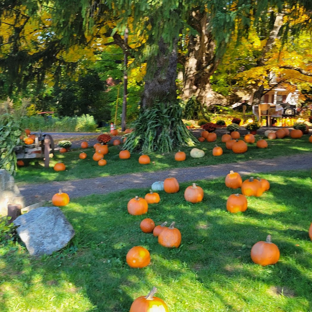Locust Grove Fruit Farm 3