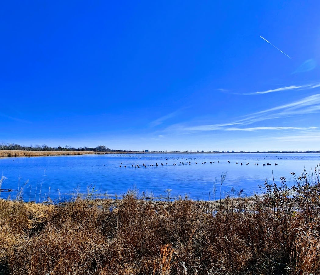 Broad Channel American Park 1