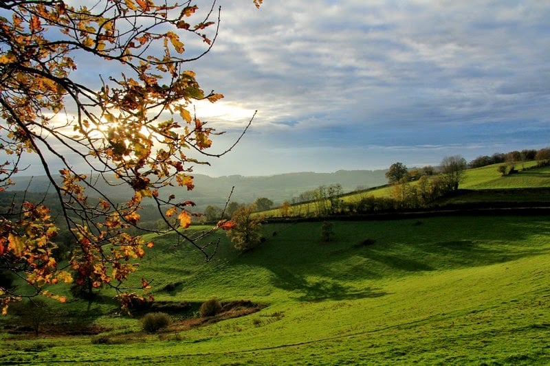 Parc naturel régional du Morvan 3