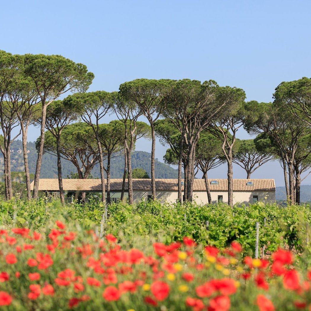 19th Chapels Music Festival ‘Viva Italia’ Mandolin & String Trio 3