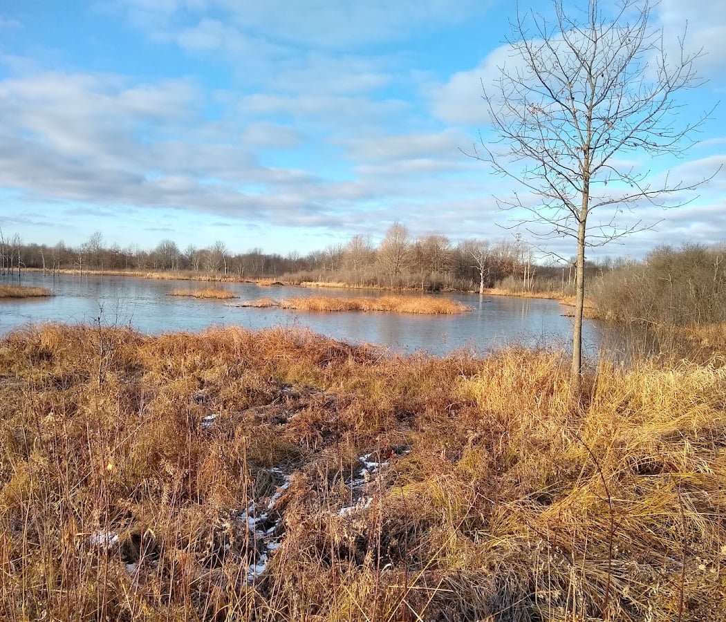 Aurora Wetlands Park 1