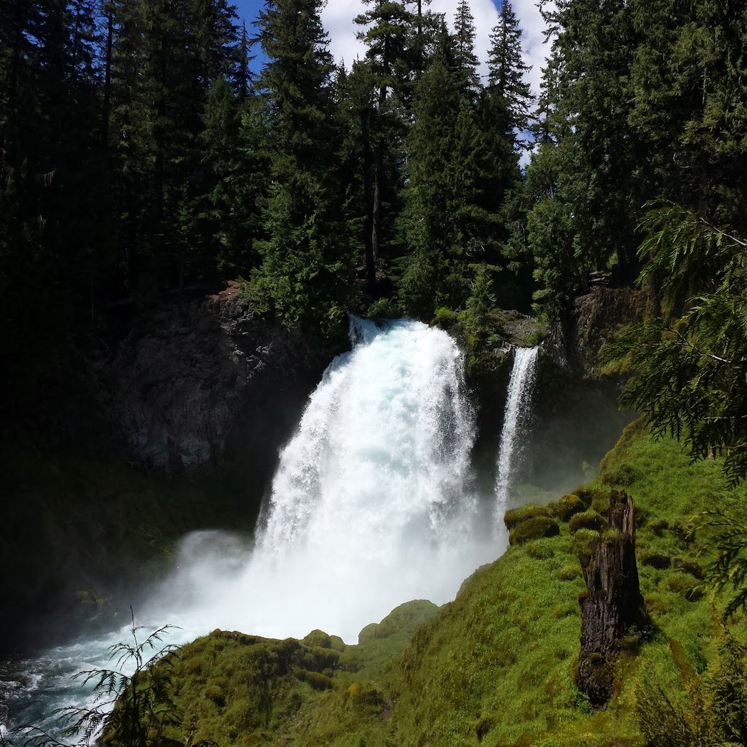 McKenzie River 4