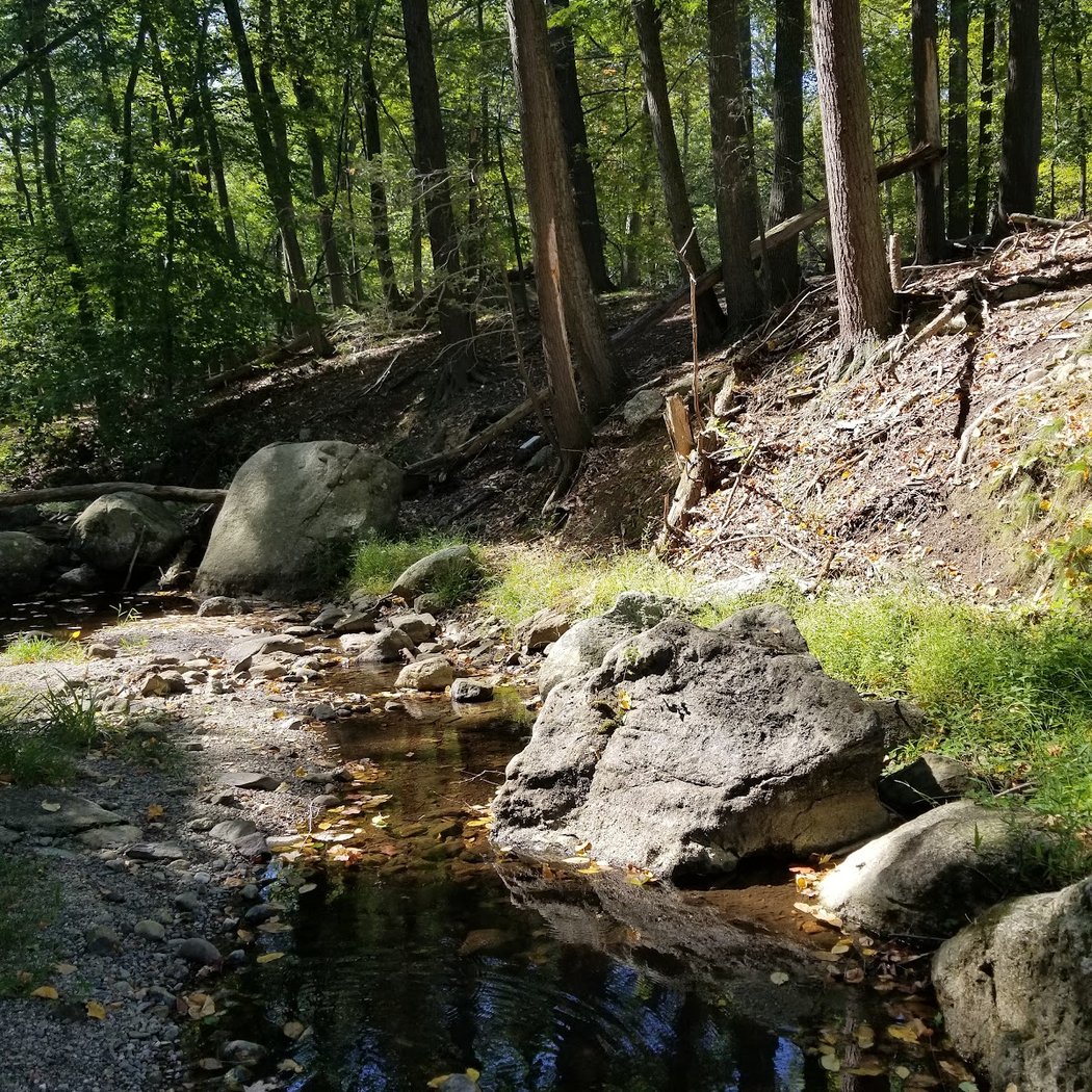 Doodletown 3