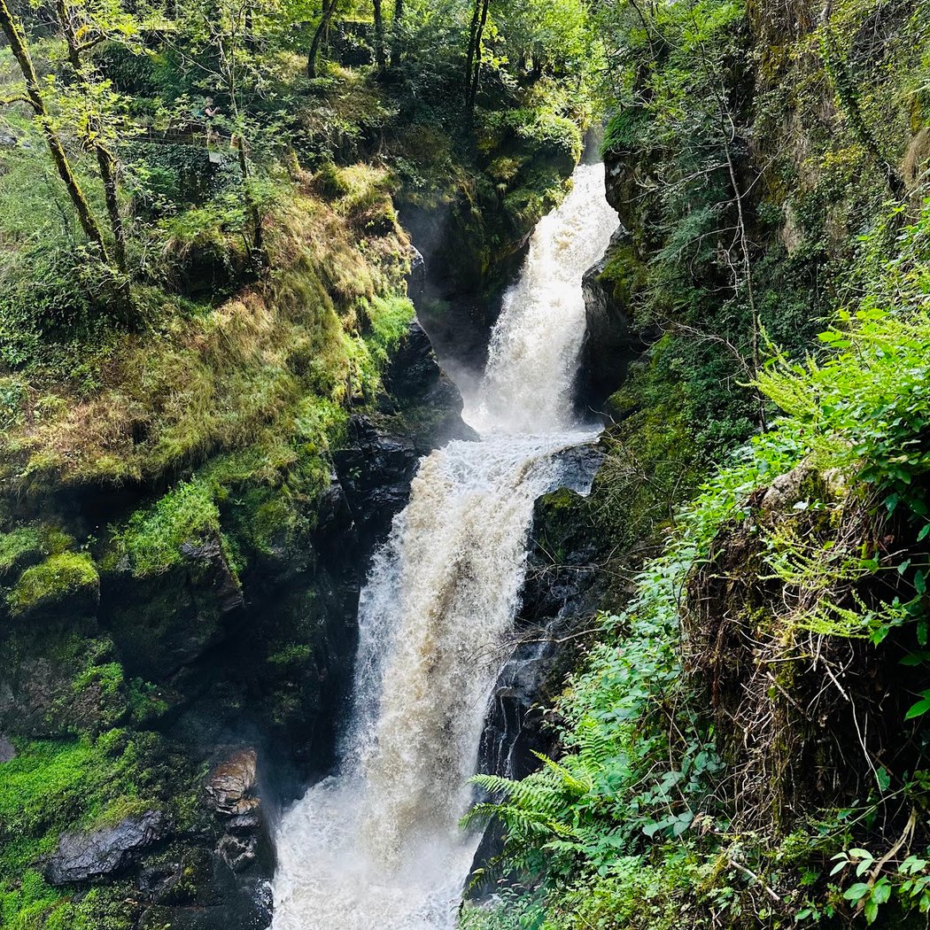 Balade botanique gourmande au Parc Vuillier – Cascades de Gimel (23 mai 2026) 3