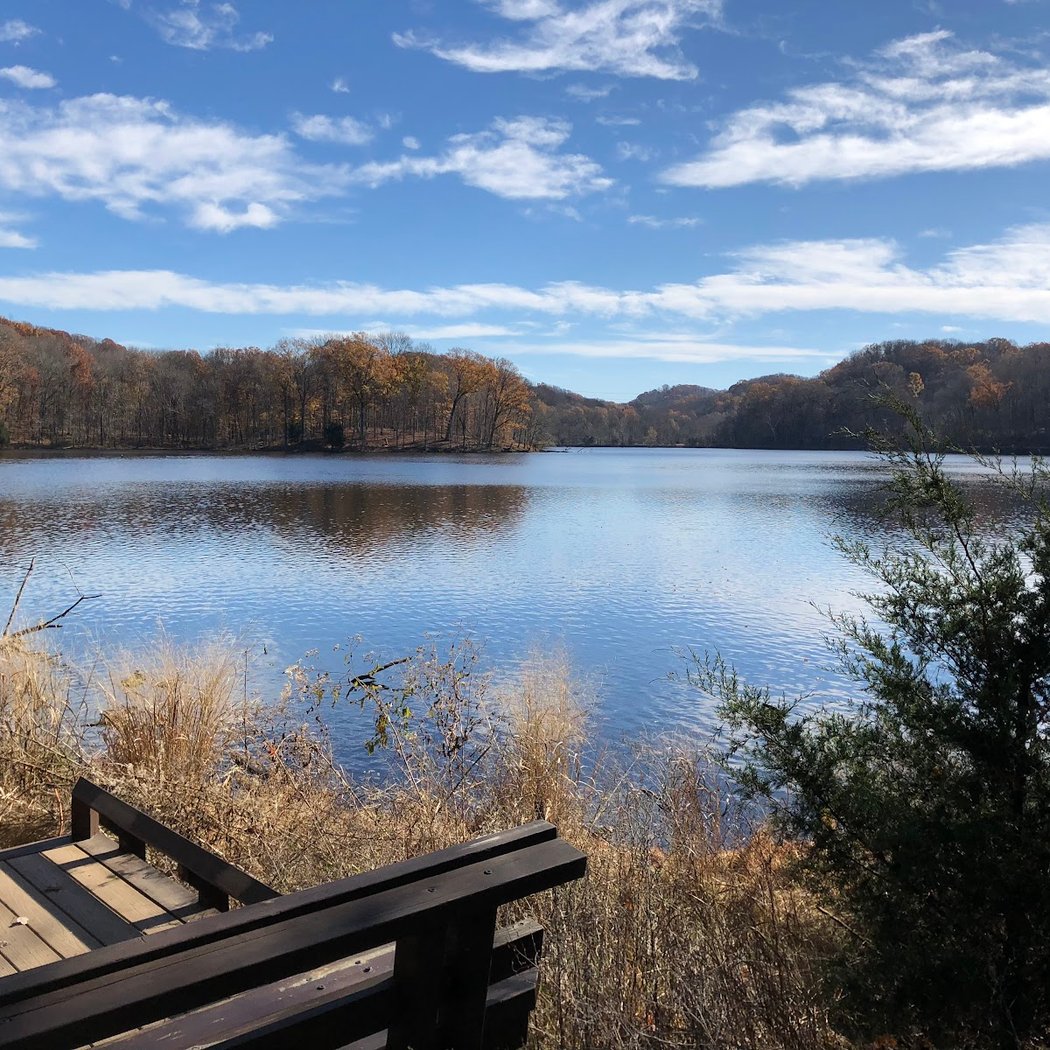Radnor Lake State Park 3