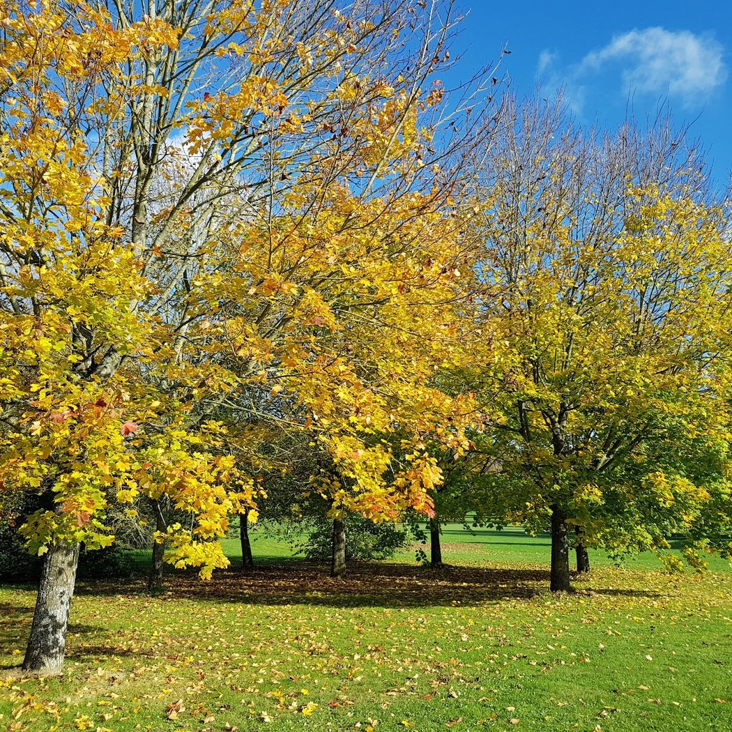 Golf de Meaux-Boutigny 3