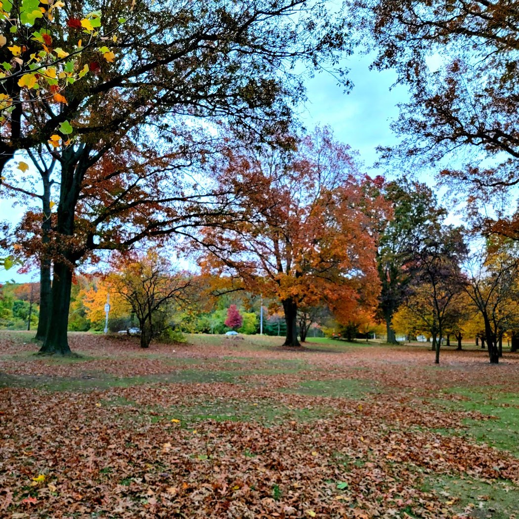 Vanderbilt Parkway 2