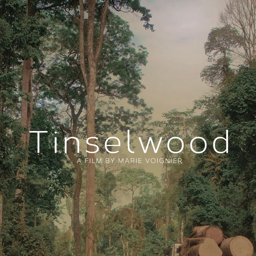Tinselwood 1