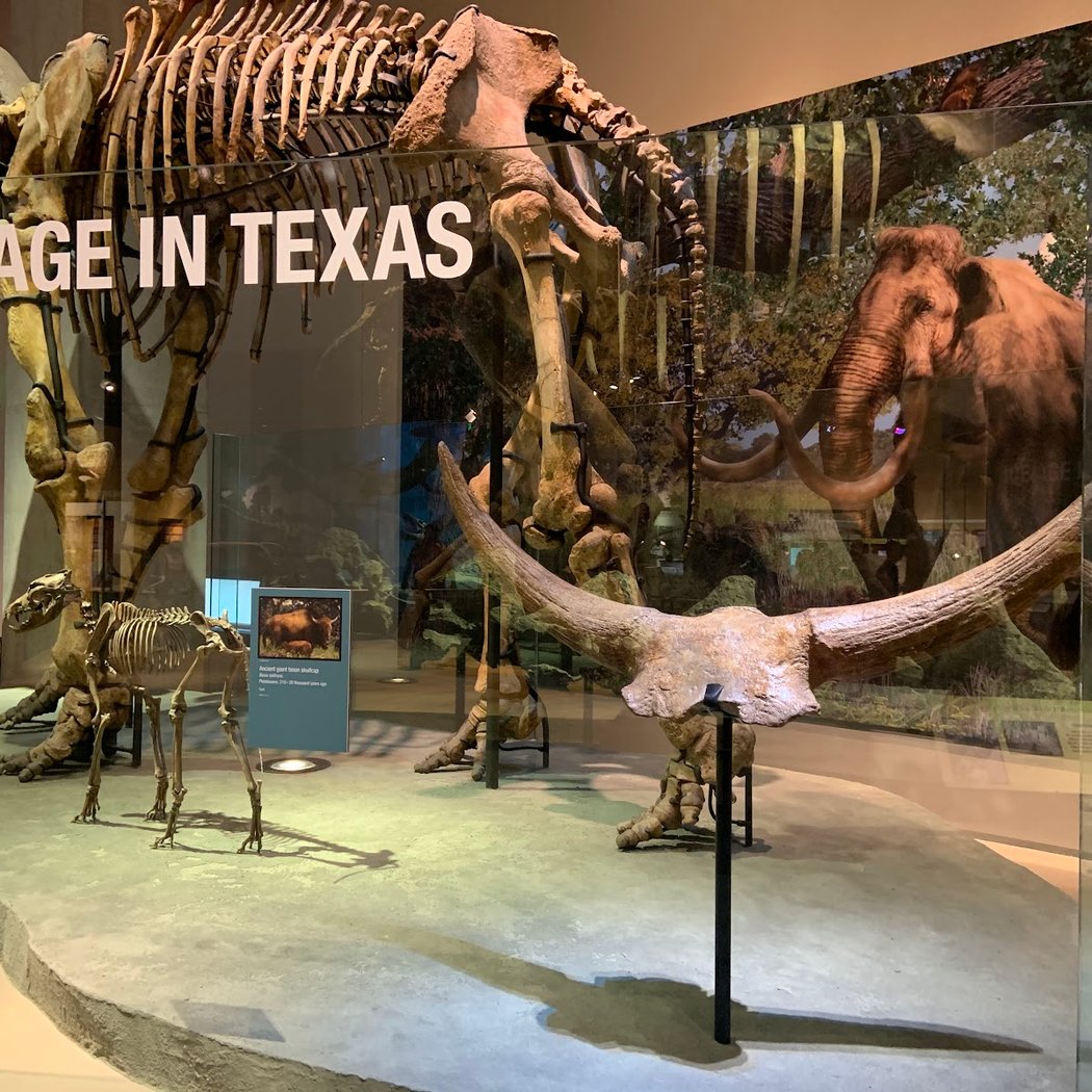 Perot Museum of Nature and Science 3