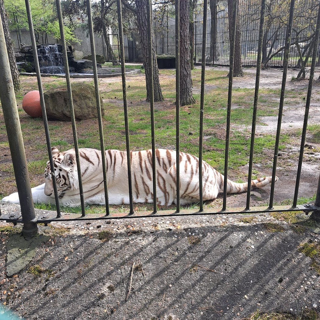 Popcorn Park Animal Refuge 3