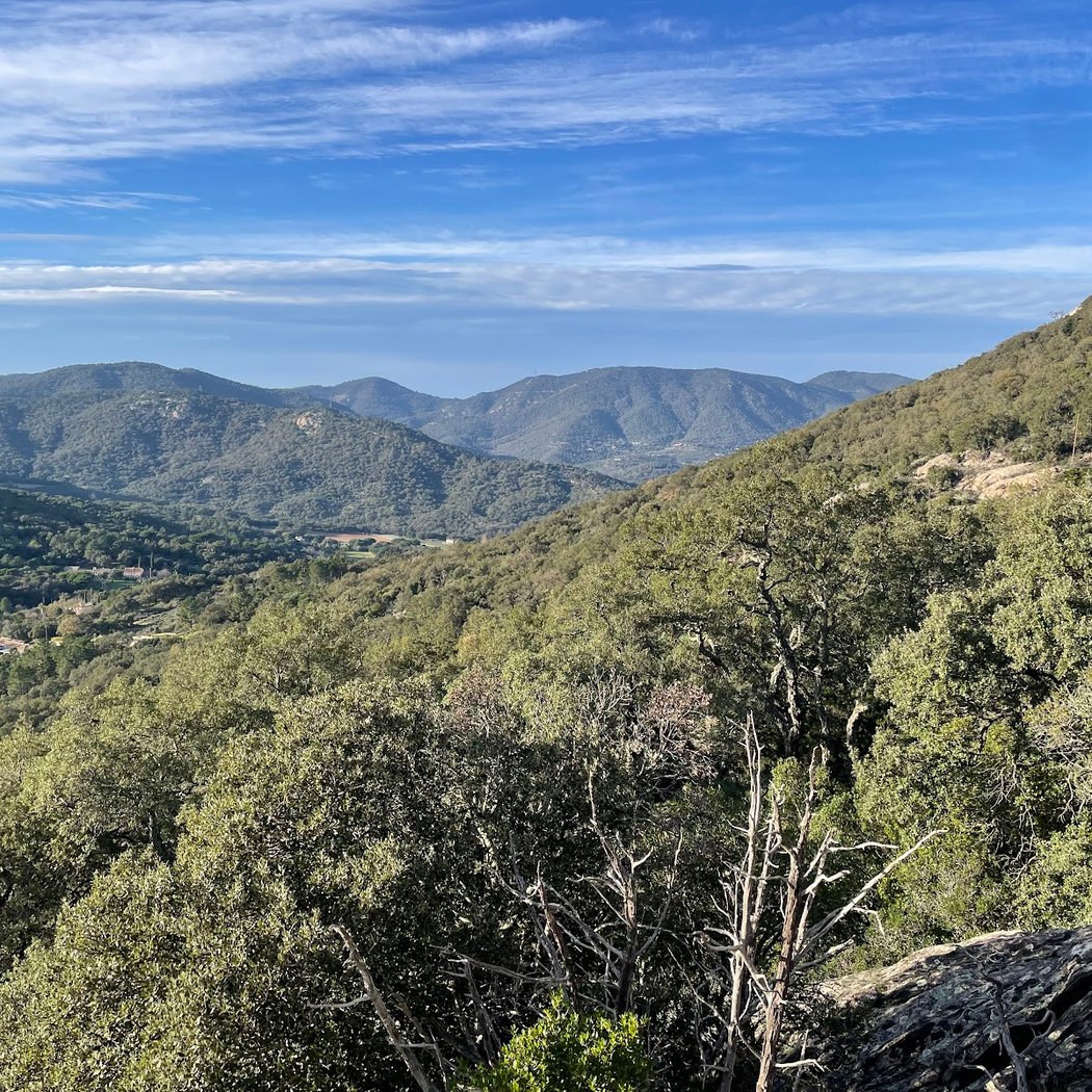 Massif des Maures 1