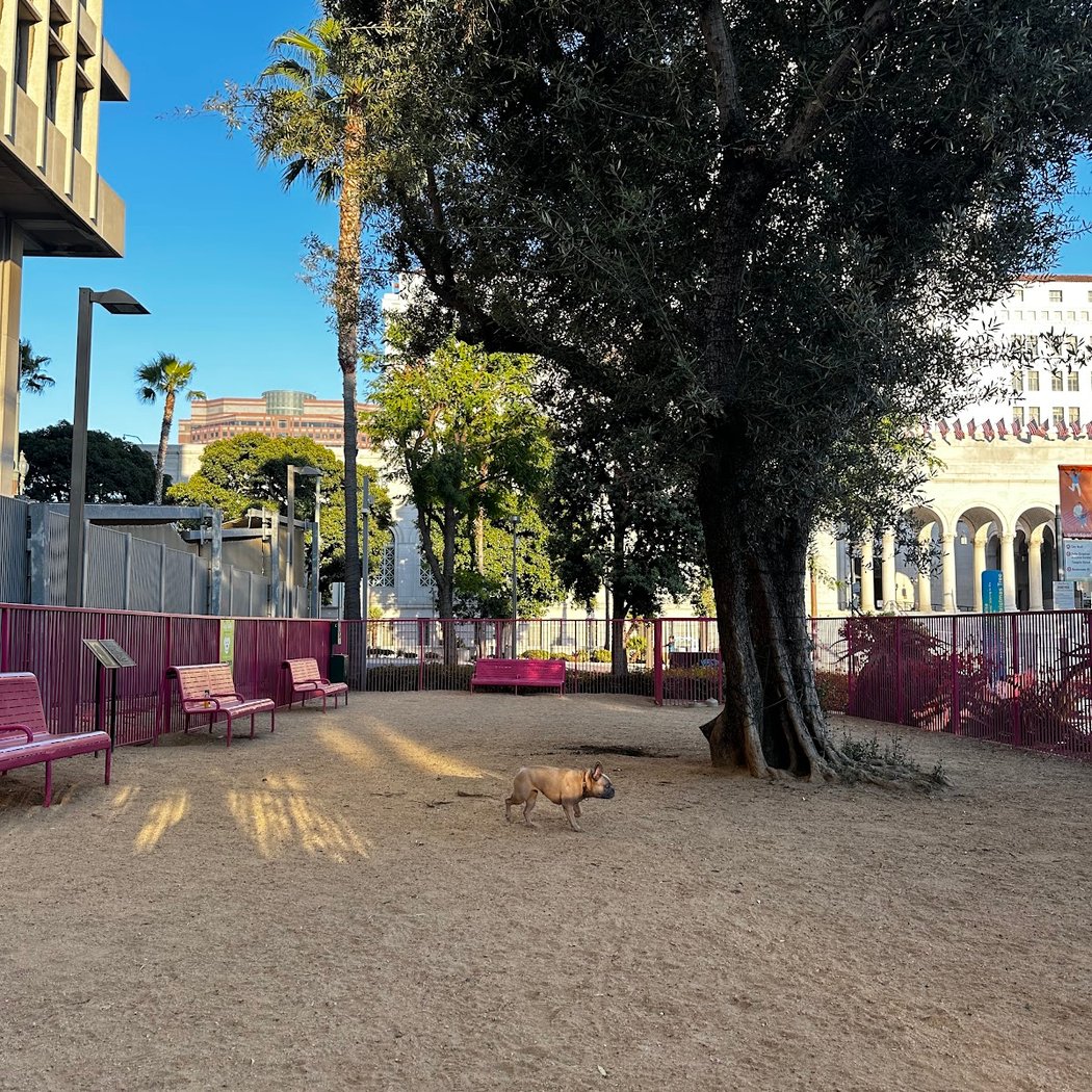 Grand Park- Dog Park 2