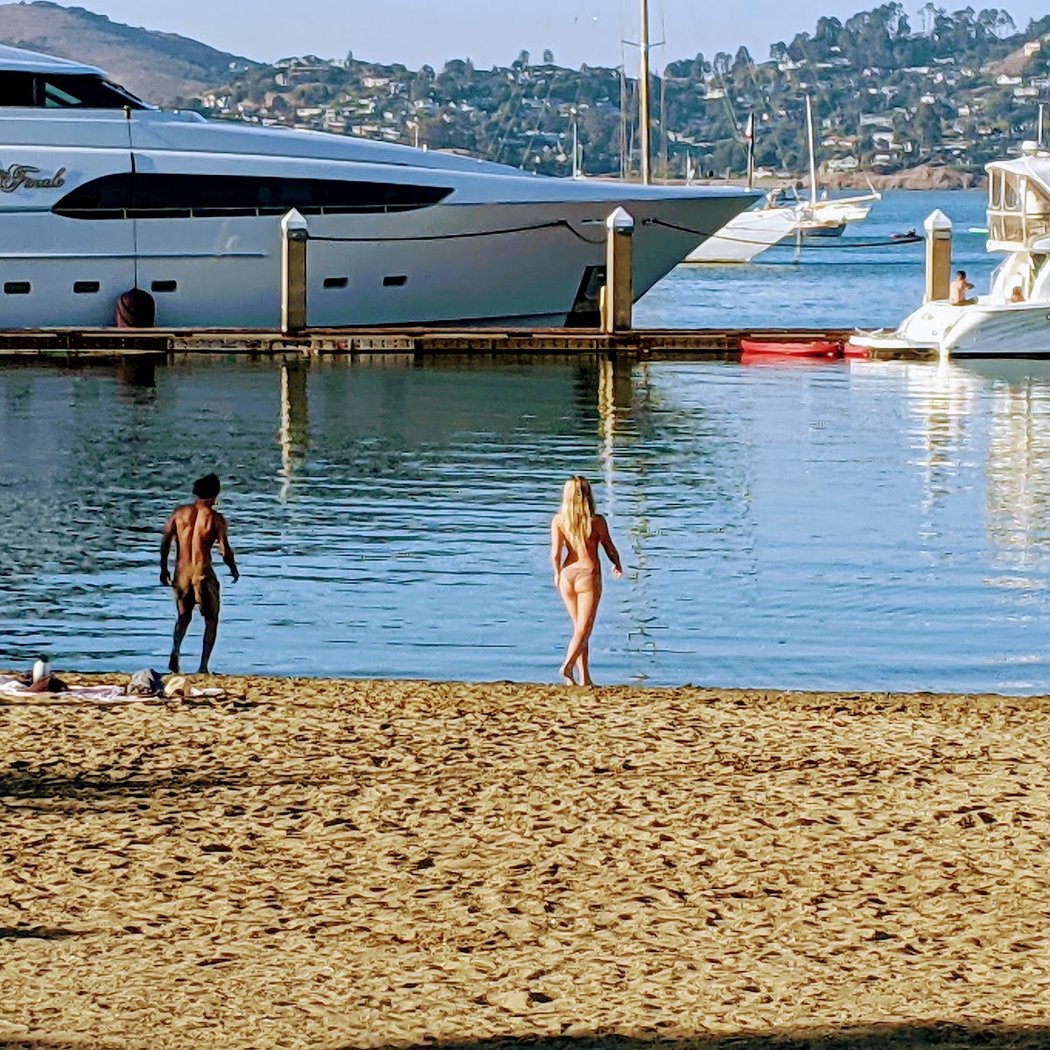 Sausalito Beach 2