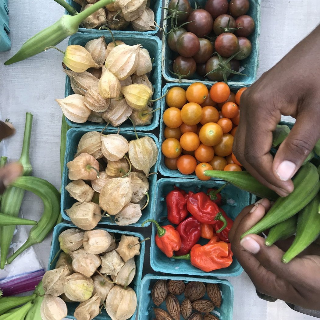 Sankofa Farm Stand at the Black Farmer’s Market