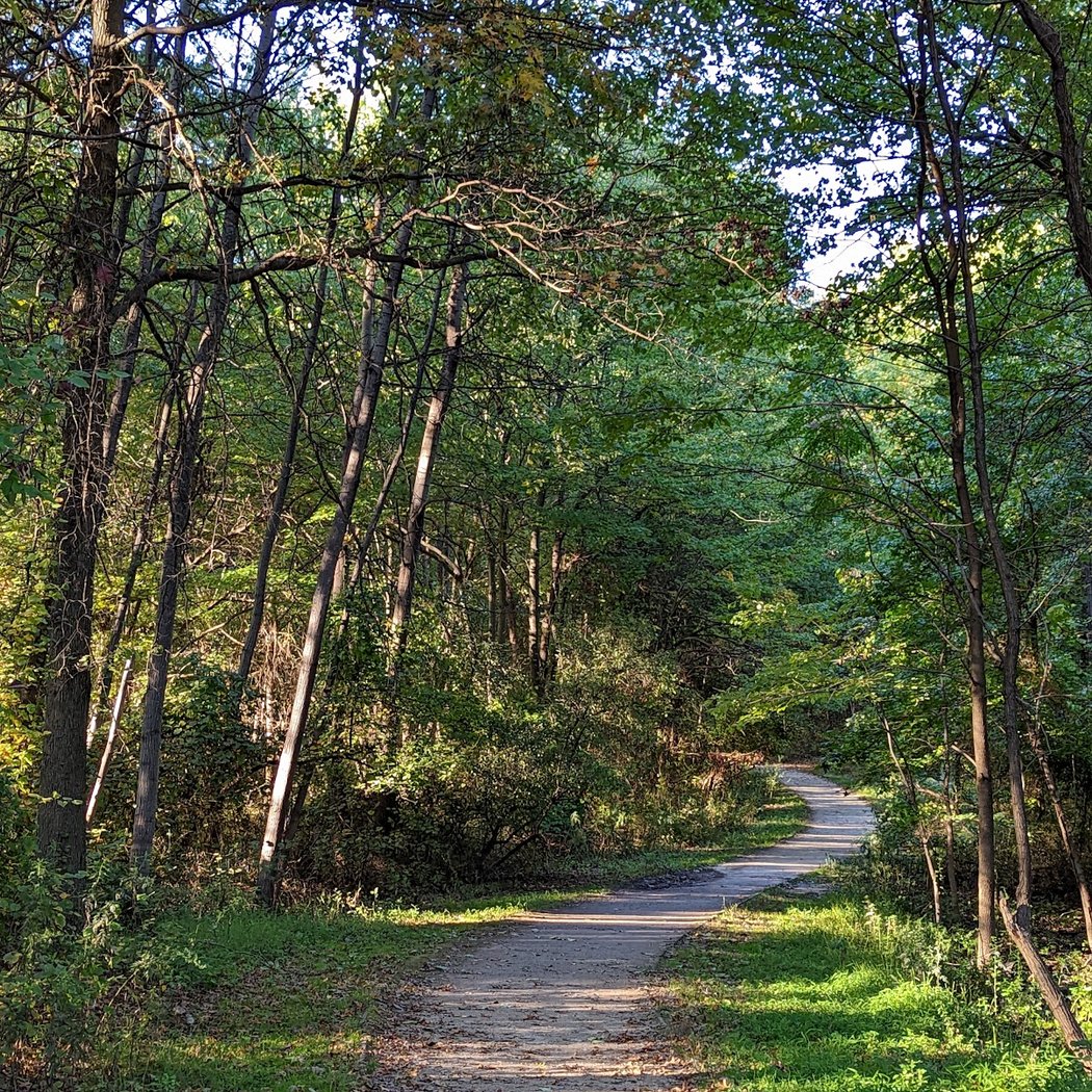 Bloomingdale Park 1