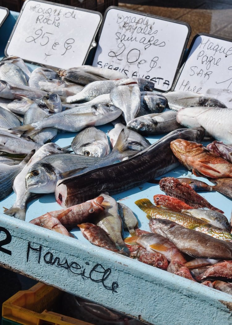 Morning Fish Market 1