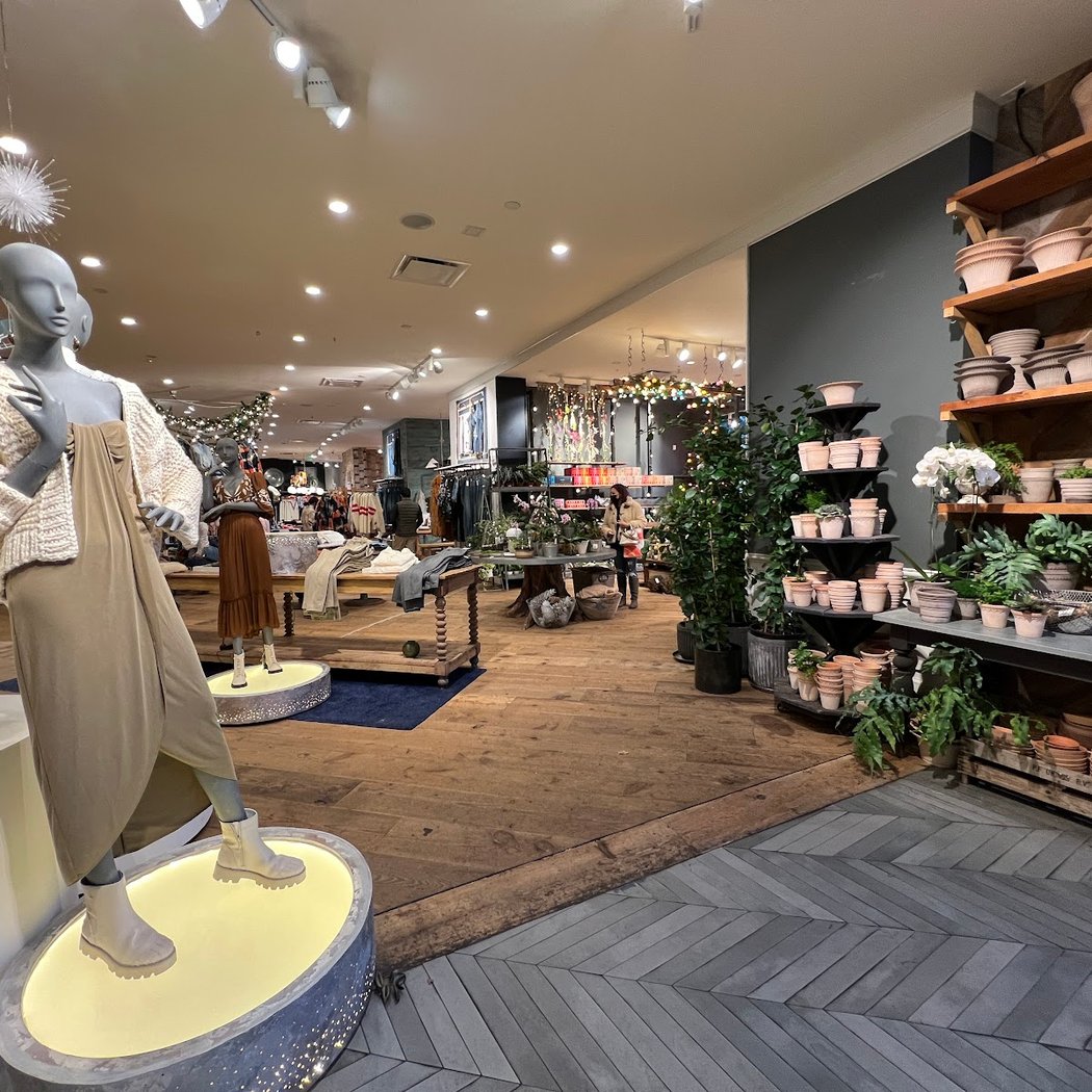 Anthropologie 3