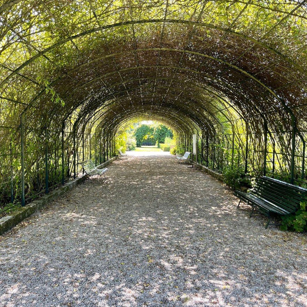 de Marnay sur seine Botanical Garden 1