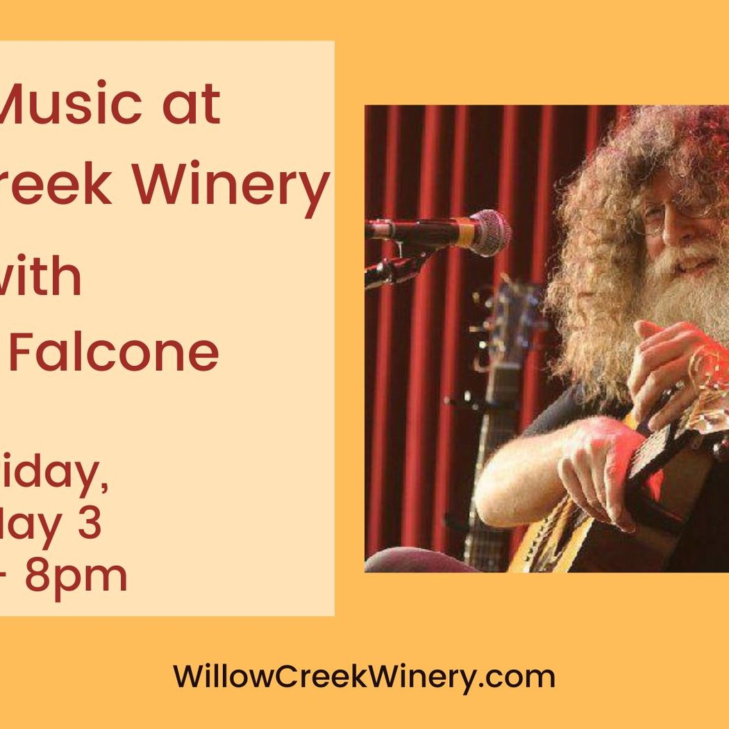 Live Music with David Falcone 1