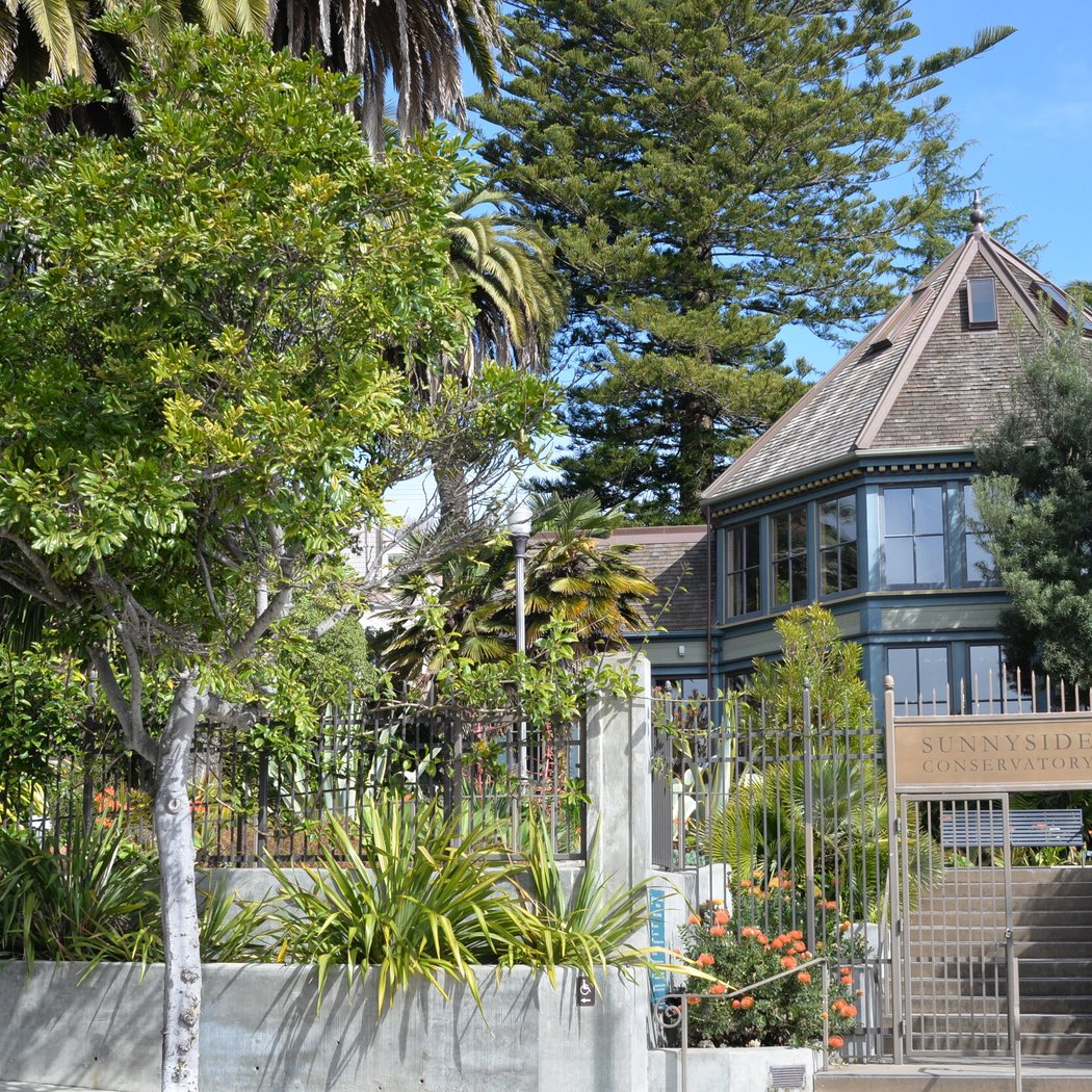 Sunnyside Conservatory 2