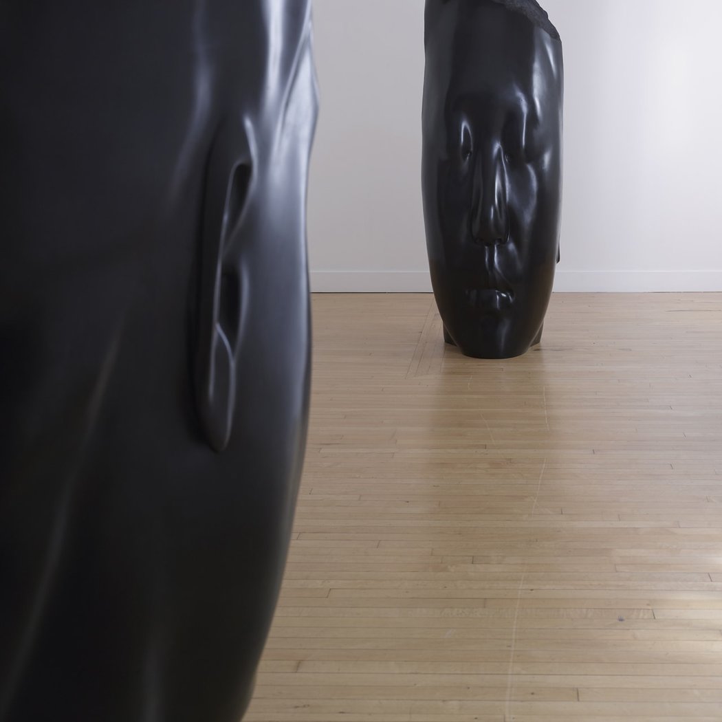Jaume Plensa: Silent Faces 1