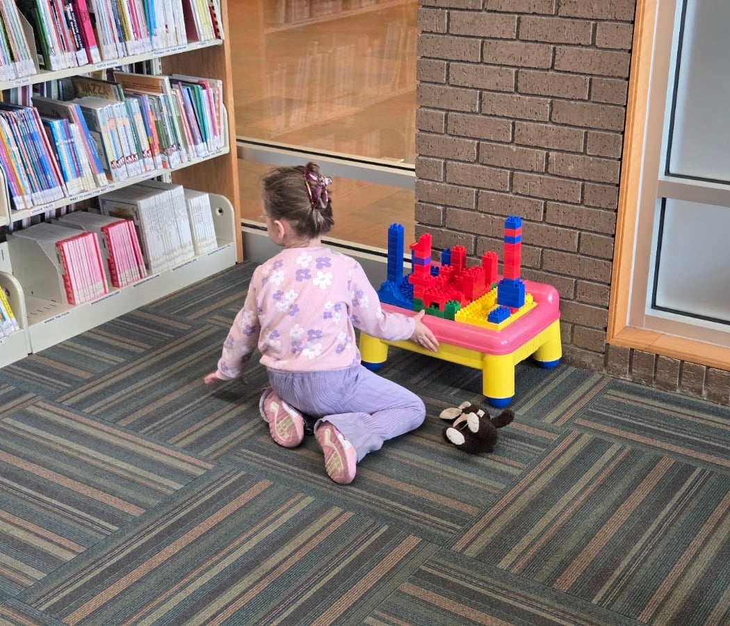 Cleburne County Library 3