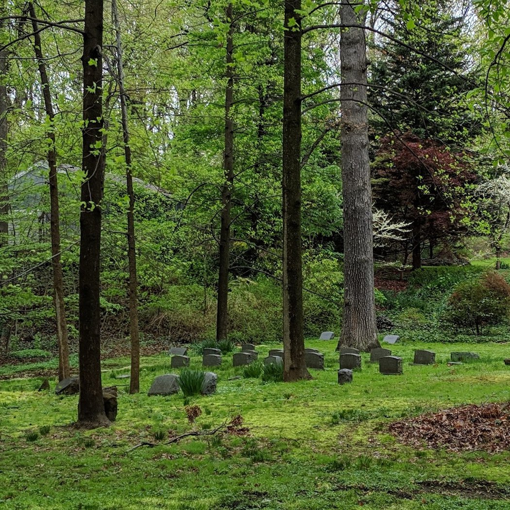 Quaker Cemetery 1