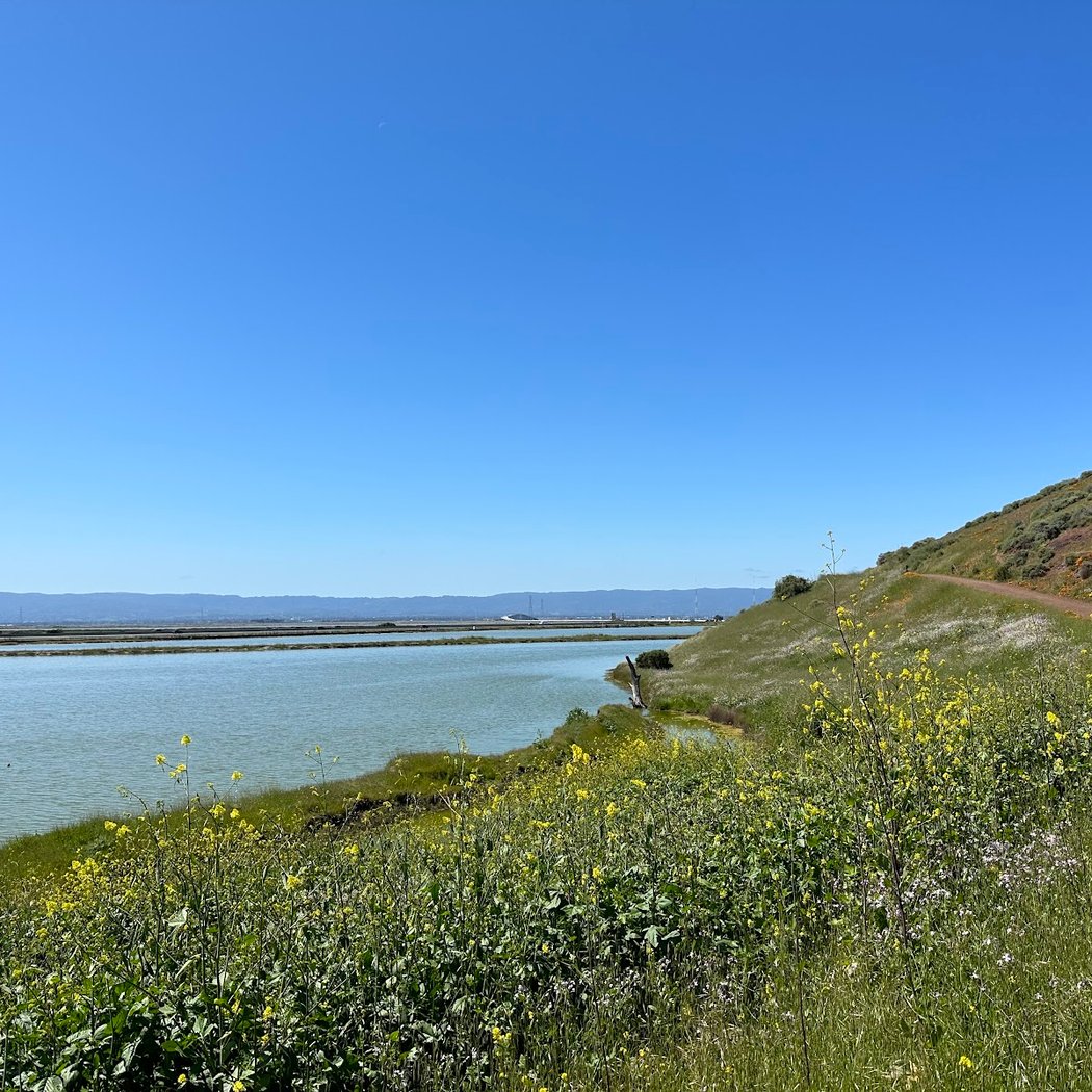 Coyote Hills Vista Point 2