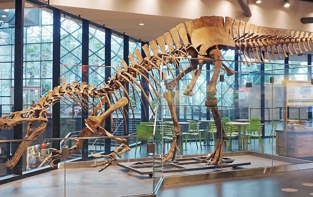 Chicago Children's Museum 3