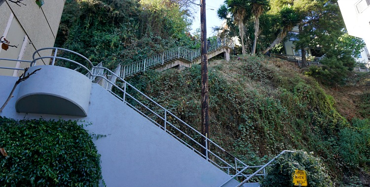 Filbert Steps 2