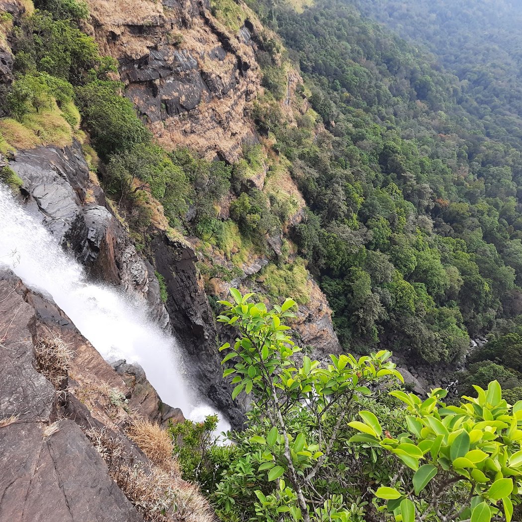 Bandaje Falls Trek 2
