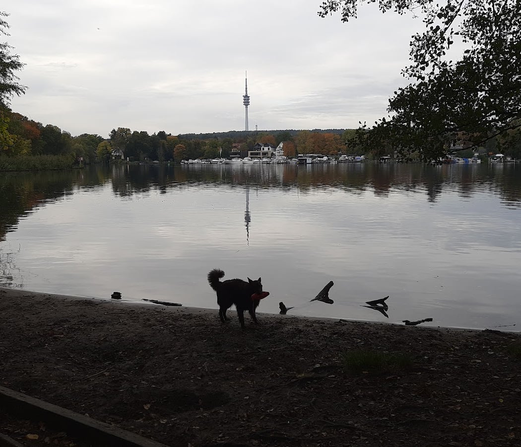 Pohlesee 2