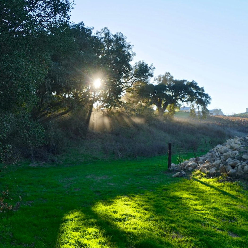 Paso Robles 3