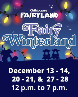Fairy Winterland 1