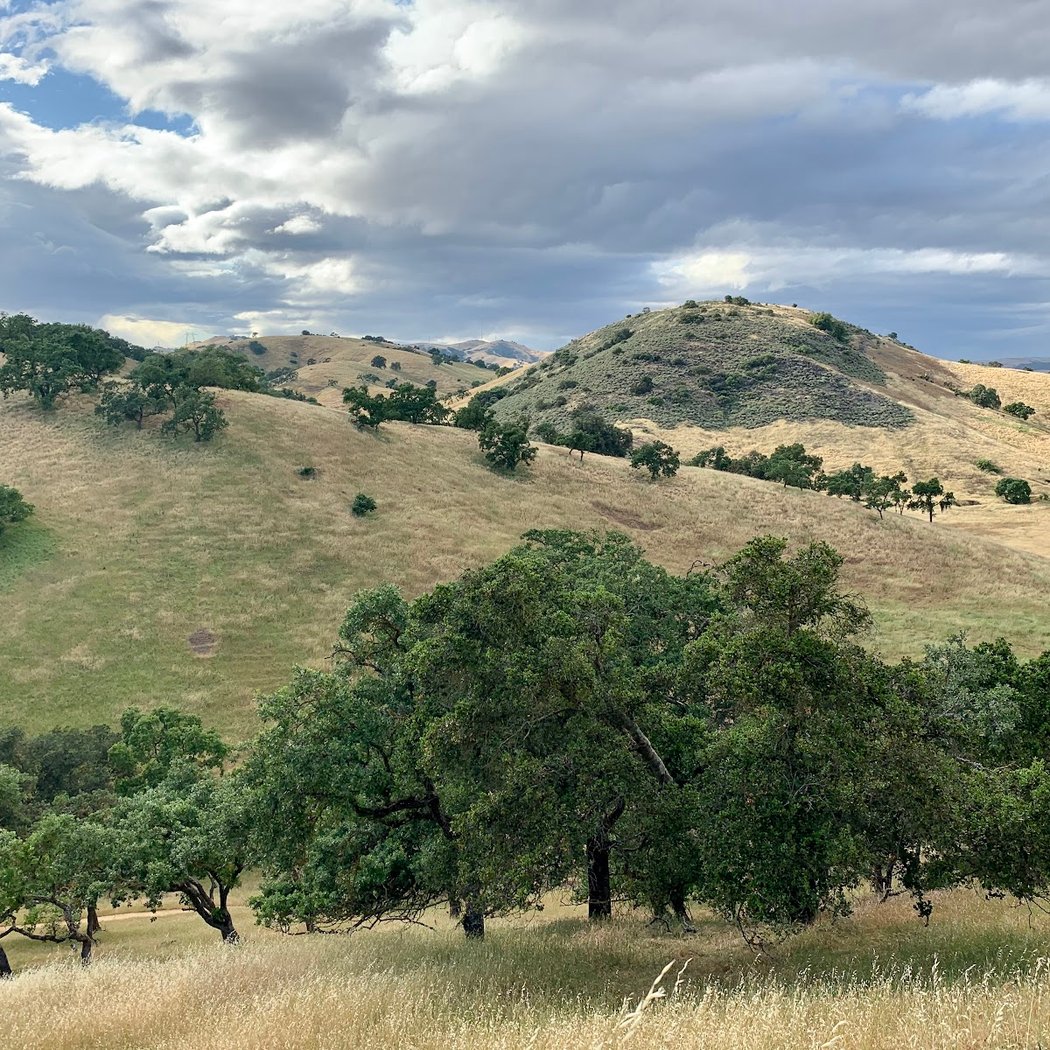 Santa Clara Valley Bird Alliance Event 3