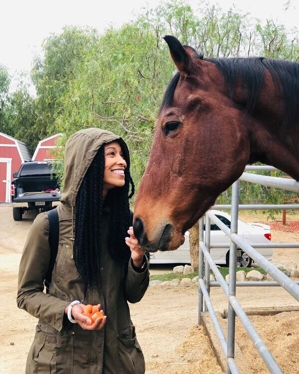 Visit The Gentle Barn 1